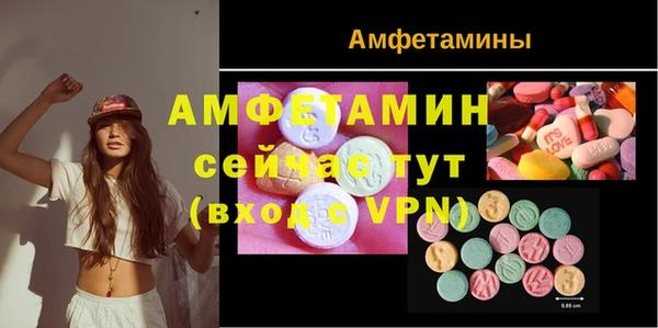 сатива Михайловка