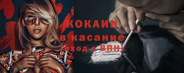 соль ск Алексин