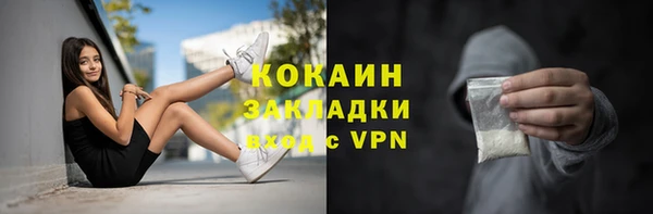 соль ск Алексин