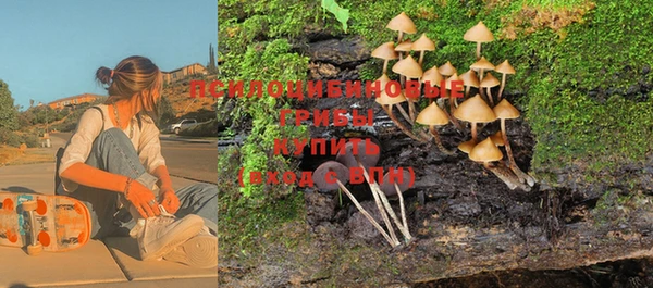 крисы Алзамай